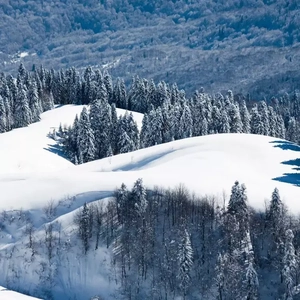 性感肉丝美女让插高朝
