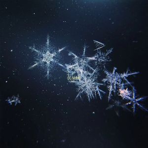 性感肉丝美女让插高朝
