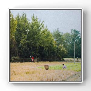 性感肉丝美女让插高朝
